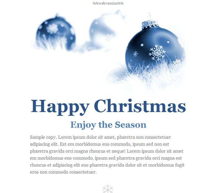 Happy Holiday Greetings Email Template