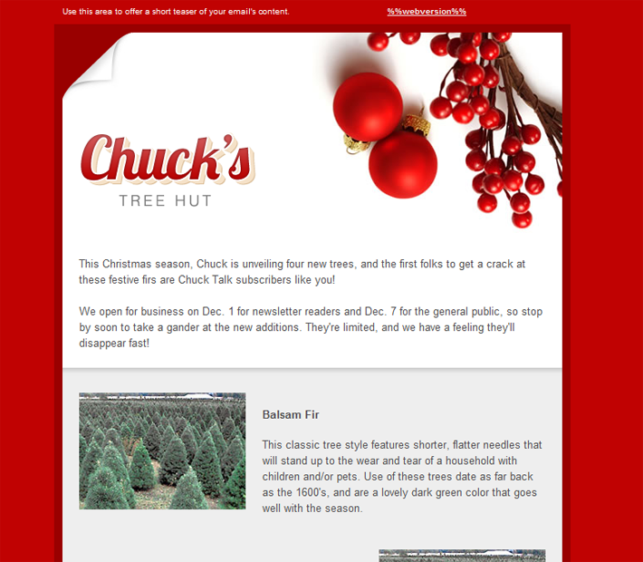 Happy Holidays Email Templates for New Year 2013 & Christmas HTML Email